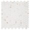 Andova Tiles SAMPLE-Muse 1 in. Glass Penny Round Mosaic Wall & Floor Tile SAM-ANDMUS910 - alternate 2